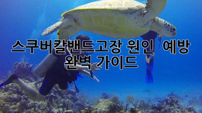 스쿠버칼밴드🆘고장 원인 & 예방 완벽 가이드💯