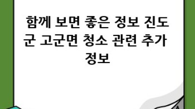 진도군 고군면에서 믿을 수 있는 청소 서비스 찾기